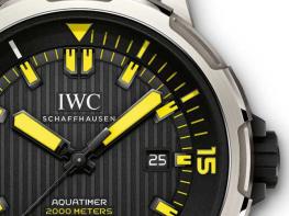 Aquatimer Automatic 2000 - IWC