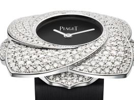 Limelight Blooming Rose - Piaget