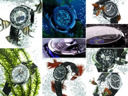 Portraits of watches by Denis Hayoun - Photos