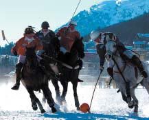 Prince du polo