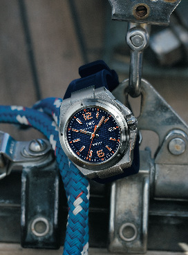 IWC_328657_1