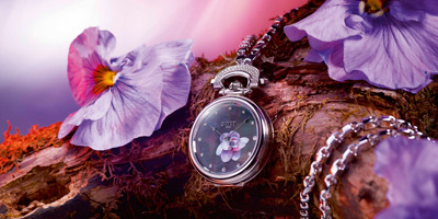 Bovet_330458_0