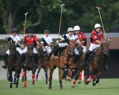 Polo_326012_1