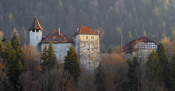 Bovet_328216_1