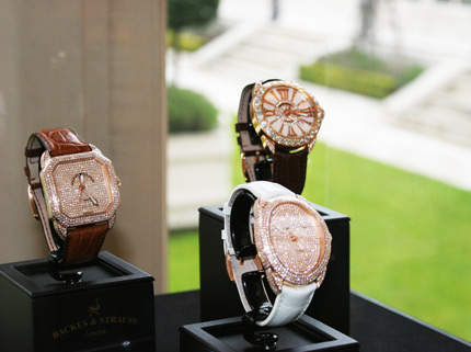 BACKES & STRAUSS_335459_1
