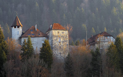 Bovet_334866_0