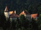 Bovet_323821_3