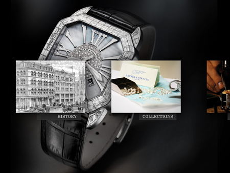Backes-Strauss-Ipad-Application