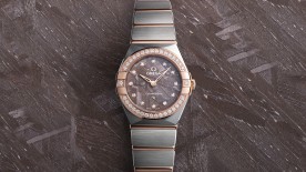 The Constellation Meteorite © Omega