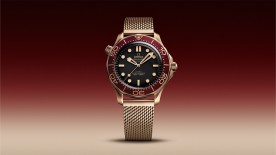 Seamaster Diver 300M in Bronze Gold and Burgundy © Omega