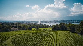 Campagne genevoise et Jet d'eau de Genève © ©Genève Tourisme, Loris von Siebenthal