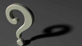 CEO ou PDG? - Anecdote