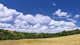 Tout un été sans montre... - Chronique