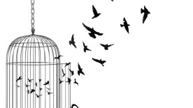 Ouvrez la cage aux oiseaux - Bestiaire Bâlois