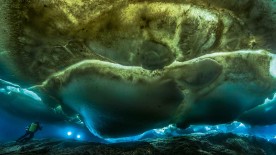 Gombessa III - Antarctic - Blancpain