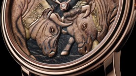 Cow fight at the Villeret corral - Blancpain