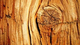 Ces marques horlogères qui ont dompté le bois - Matière