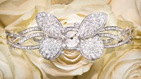 Butterfly grace - Graff