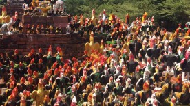 Year of the Rooster - Chinese New Year