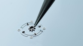 High Frequency Oscillation - De Bethune