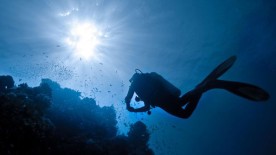 Return from the deep - Dive watches