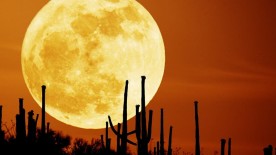 L’astre préféré des horlogers - Phase de lune