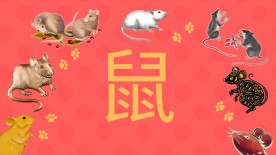 Your Kind of New Year Watch - Chinese New Year