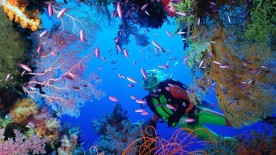A look at underwater watches - Dive Time