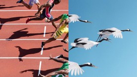 Five of the Finest Olympic Moments… - Omega