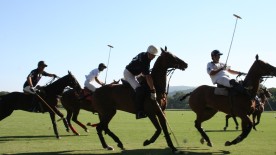Polo Club de St-Tropez watch - Richard Mille