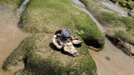 The Heuer Carrera 01 goes to Peru - TAG Heuer
