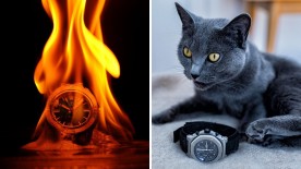 Two Themes for Season 4 - Watch Photo Awards