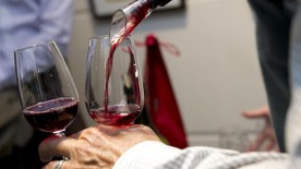 The Geneva Grape Harvest Festival proves a great success - Zenith