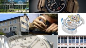 Flight in many forms - Newsletter