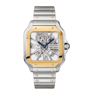 Santos De Cartier Skeleton