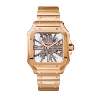Santos De Cartier Skeleton