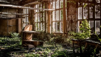© denny-muller unsplash