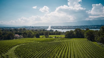 Campagne genevoise et Jet d'eau de Genève © ©Genève Tourisme, Loris von Siebenthal