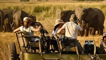 Safari Spirit - Getaway