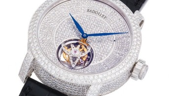 Stellaire Exceptionnelle  - Badollet 