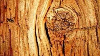 Ces marques horlogères qui ont dompté le bois - Matière
