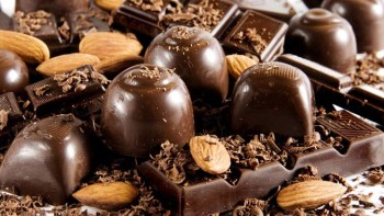 Au Salon du chocolat -  Zenith