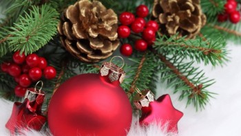 Ladies' floral watches - Christmas gift