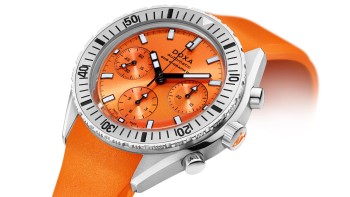 Exploring Sealife and Nightlife with Doxa - Doxa