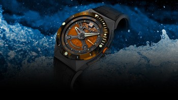 Diver - Franck Dubarry