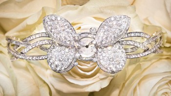 Butterfly grace - Graff