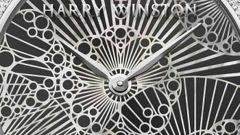 Premier Lace 31mm - Harry Winston