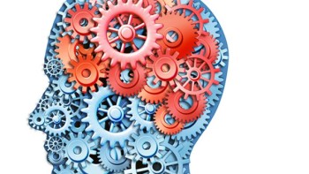 Watchmaking and the ventral striatum  - Colas