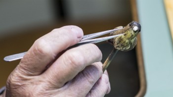 Restoration of the singing bird pendulum clock - Jaquet Droz