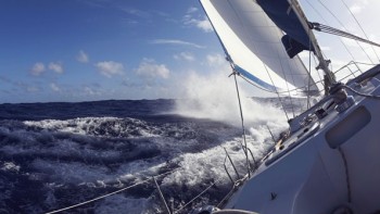 C’est pas l’homme qui prend la mer… - Ocean Cup